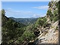 IMG_7066.JPG