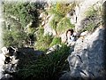 IMG_7068.JPG