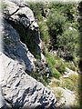 IMG_7070.JPG