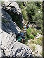 IMG_7072.JPG
