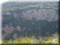 IMG_7080.JPG