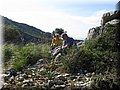 IMG_7082.JPG
