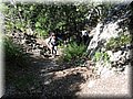 IMG_7084.JPG