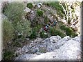 IMG_7087.JPG