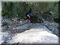 IMG_7088.JPG