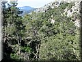 IMG_7091.JPG