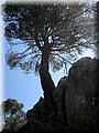 IMG_7097.JPG