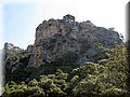IMG_7101.JPG