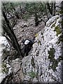 IMG_7114.JPG