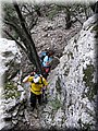 IMG_7117.JPG