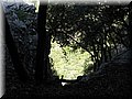 IMG_7123.JPG