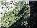 IMG_7125.JPG
