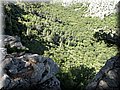 IMG_7126.JPG