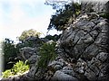 IMG_7129.JPG
