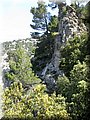 IMG_7130.JPG