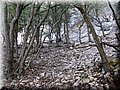 IMG_7143.JPG