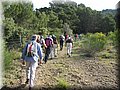 IMG_7145.JPG