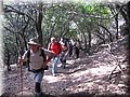 IMG_7156.JPG