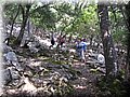 IMG_7167.JPG
