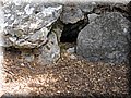 IMG_7170.JPG