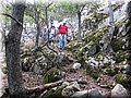 IMG_7179.JPG