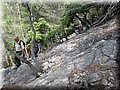 IMG_7188.JPG