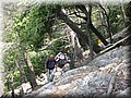 IMG_7189.JPG