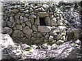 IMG_7203.JPG