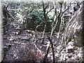 IMG_7207.JPG