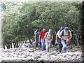 IMG_7217.JPG