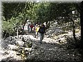 IMG_7219.JPG