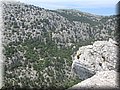 IMG_7224.JPG