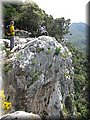 IMG_7231.JPG