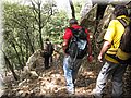 IMG_7236.JPG