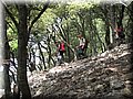 IMG_7238.JPG