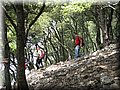 IMG_7239.JPG