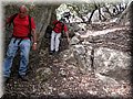 IMG_7245.JPG