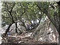 IMG_7248.JPG