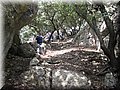 IMG_7250.JPG