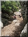 IMG_7252.JPG