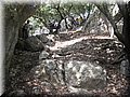 IMG_7254.JPG