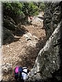 IMG_7260.JPG