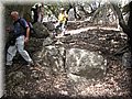 IMG_7262.JPG