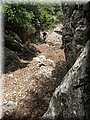 IMG_7264.JPG