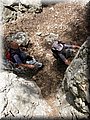 IMG_7269.JPG