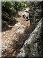 IMG_7271.JPG