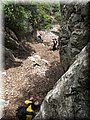 IMG_7272.JPG