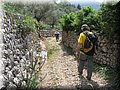 IMG_7286.JPG