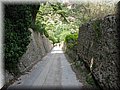 IMG_7290.JPG