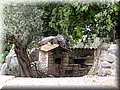 IMG_7498.JPG